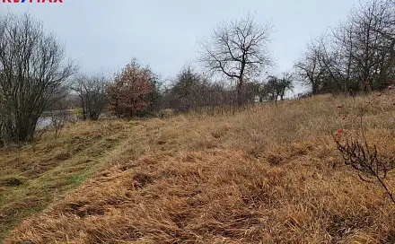 Prodej pozemku 6 483 m², Třebsko, okres Příbram
