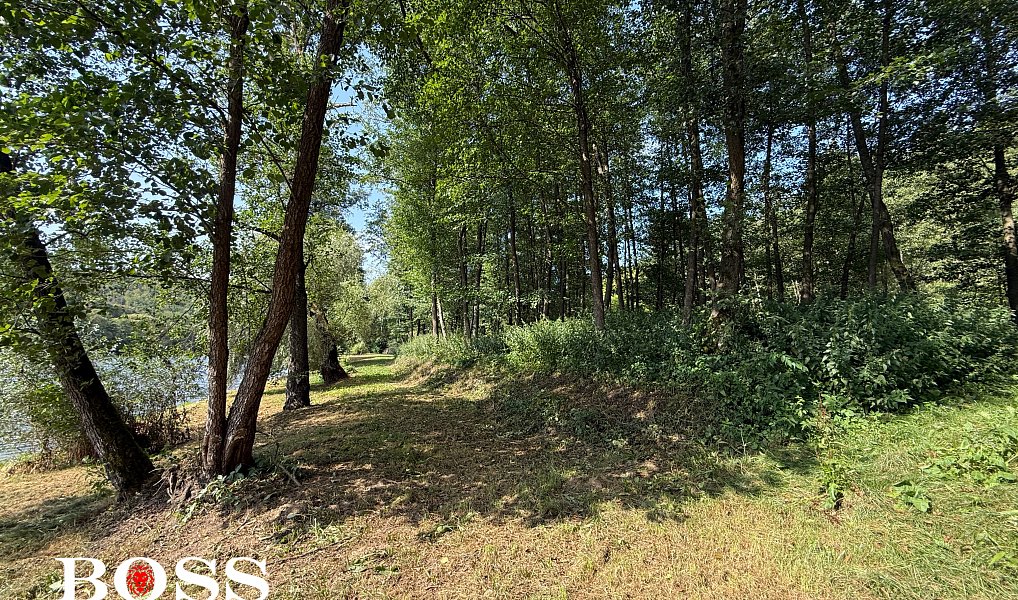 Prodej komerčního pozemku 15 862 m², Slabce – náhled fotky 13