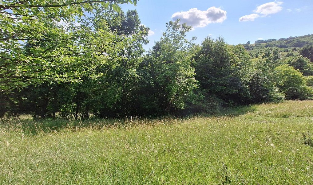 Prodej domu 80 m² s pozemkem 18 929 m², Žítková – náhled fotky 8