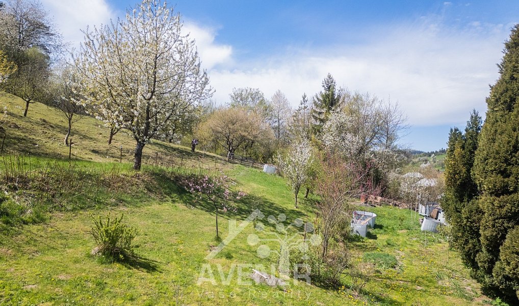 Prodej chaty/chalupy 33 m² s pozemkem 1 674 m², Kašava – náhled fotky 35