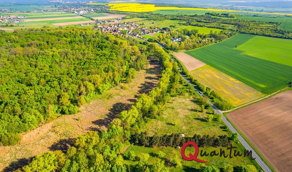 Prodej komerčního pozemku 6 186 m², Tišice – náhled fotky 24