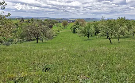 Prodej chaty/chalupy 10 m² s pozemkem 3 069 m², Sivice, okres Brno-venkov