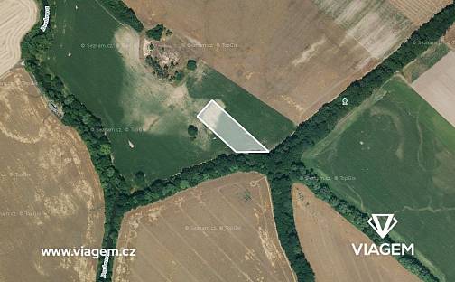 Prodej pole 984 m², Horušice, okres Kutná Hora