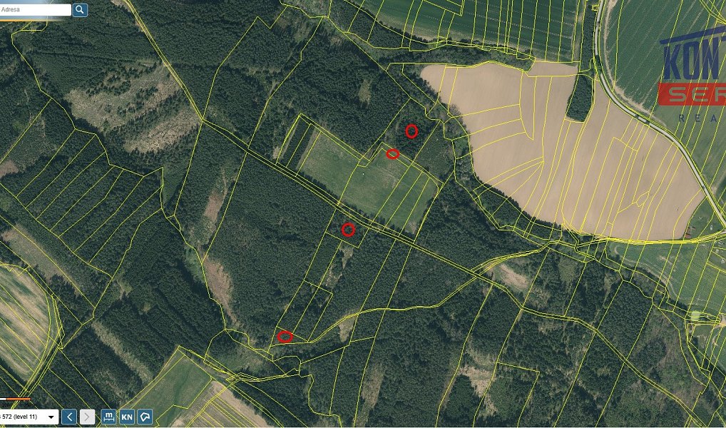 Prodej lesa 23 812 m², Bečice – náhled fotky 4