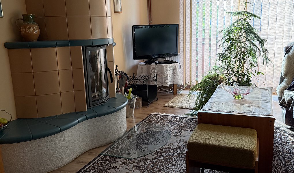 Prodej domu 250 m² s pozemkem 1 245 m², Spálov – náhled fotky 14
