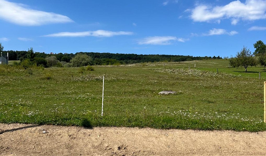 Prodej pole 5 837 m², Pozlovice – náhled fotky 3