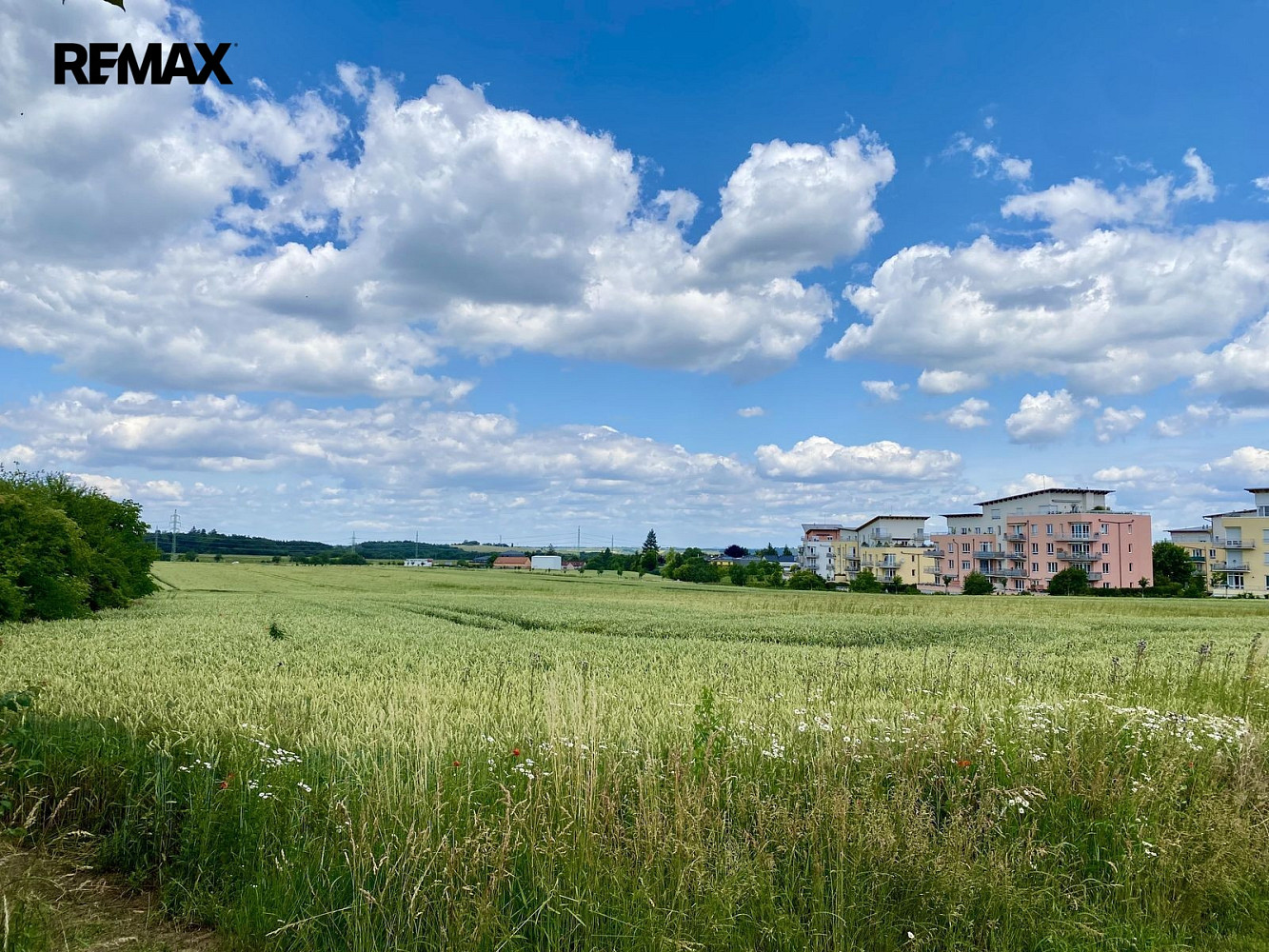 Prodej pole 2 739 m²