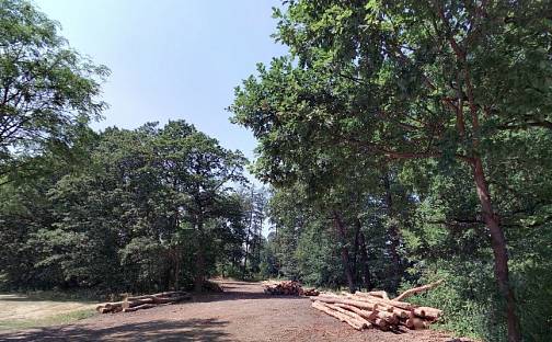 Prodej lesa 852 931 m², Luhačovice, okres Zlín