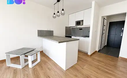 Pronájem bytu 1+kk 27 m², Výškovická, Ostrava - Výškovice