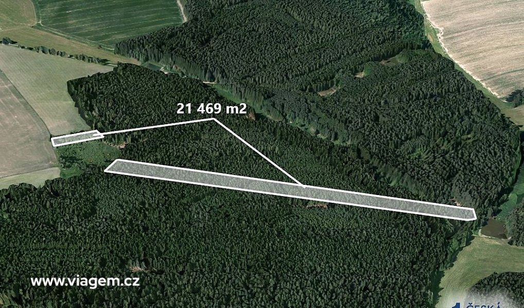 Prodej lesa 21 469 m², Chrbonín – náhled fotky 2