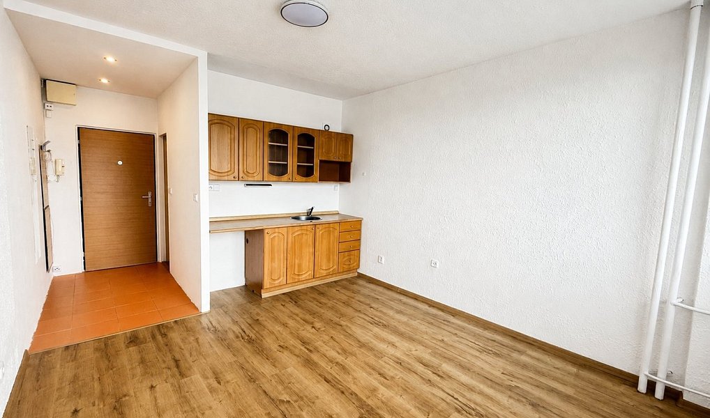 Pronájem bytu 1+kk 21 m², Ústí nad Labem – náhled fotky 7