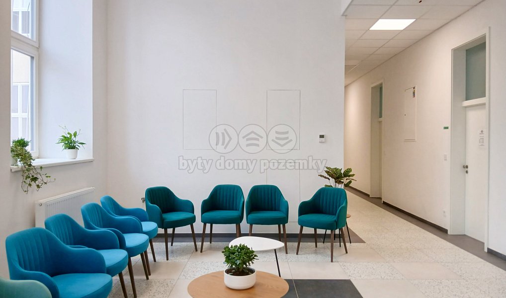 Pronájem obchodních prostor 100 m², Opava – náhled fotky 30