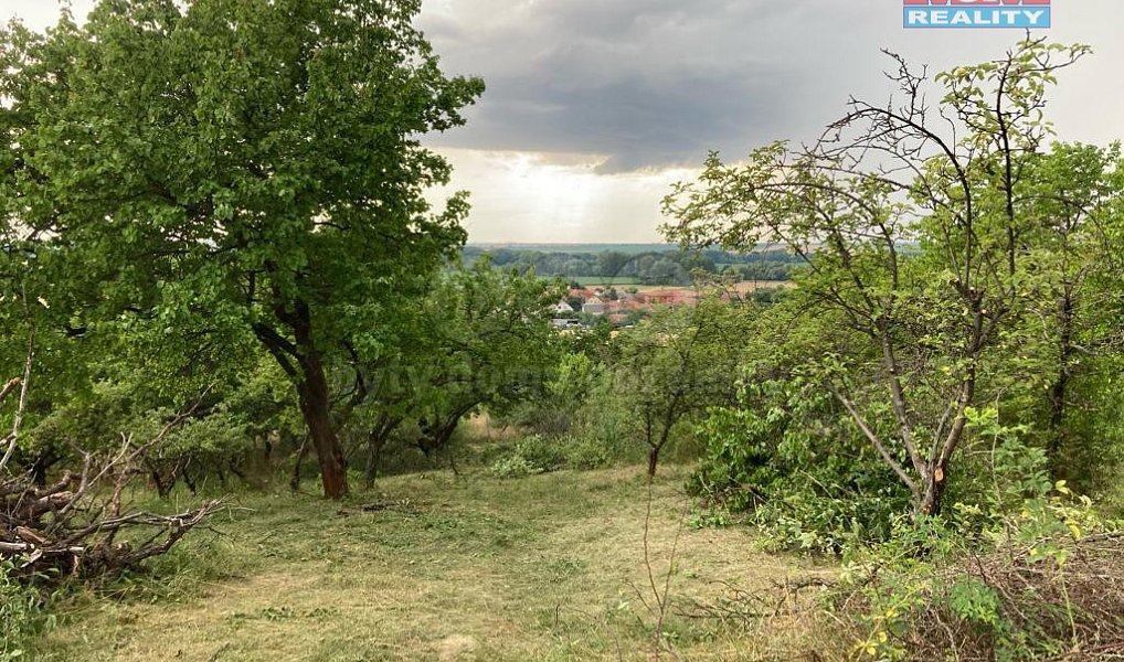 Prodej chaty/chalupy 15 m² s pozemkem 1 152 m², Pohořelice – náhled fotky 5