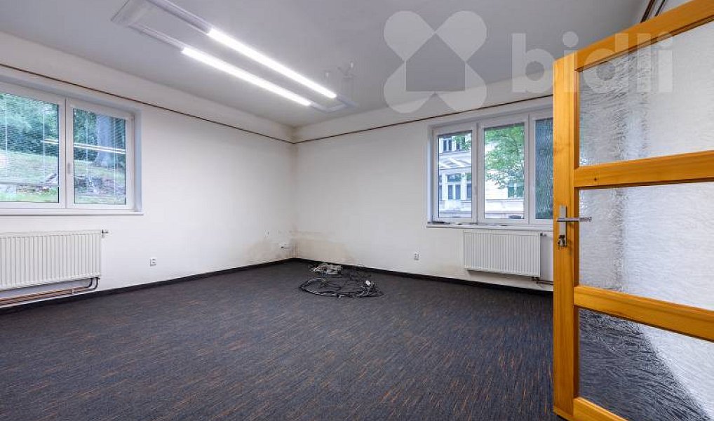 Prodej obchodních prostor 670 m², Dolní Kalná – náhled fotky 16