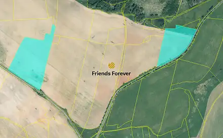 Prodej pole 18 743 m², Toužim - Prachomety, okres Karlovy Vary