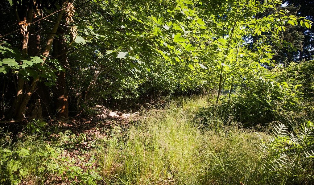 Prodej stavebního pozemku 1 419 m², Příbram – náhled fotky 4