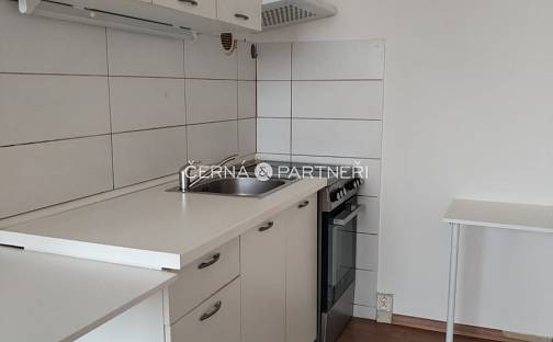 Pronájem bytu 1+kk 31 m², Janáčkova, Teplice - Trnovany
