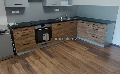 Pronájem bytu 2+kk 65 m², Elišky Krásnohorské, Ústí nad Labem - Ústí nad Labem-centrum