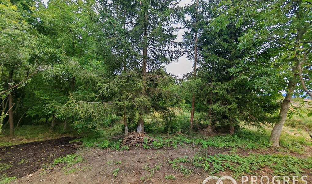 Prodej domu 160 m² s pozemkem 523 m², Rataje – náhled fotky 23