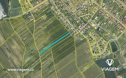 Prodej pole 293 m², Hrušky, okres Břeclav