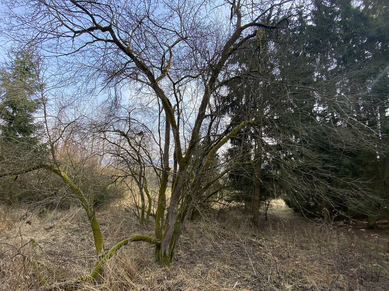 Fotka 12 z 23