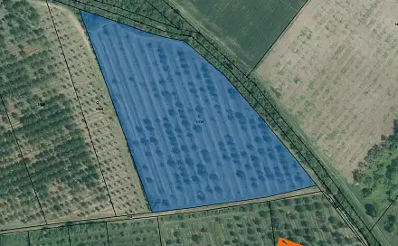 Prodej pozemku 341 m², Želešice, okres Brno-venkov