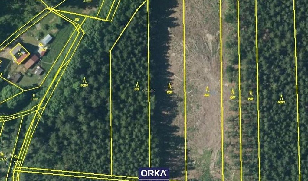 Prodej lesa 5 078 m², Budětsko – náhled fotky 3