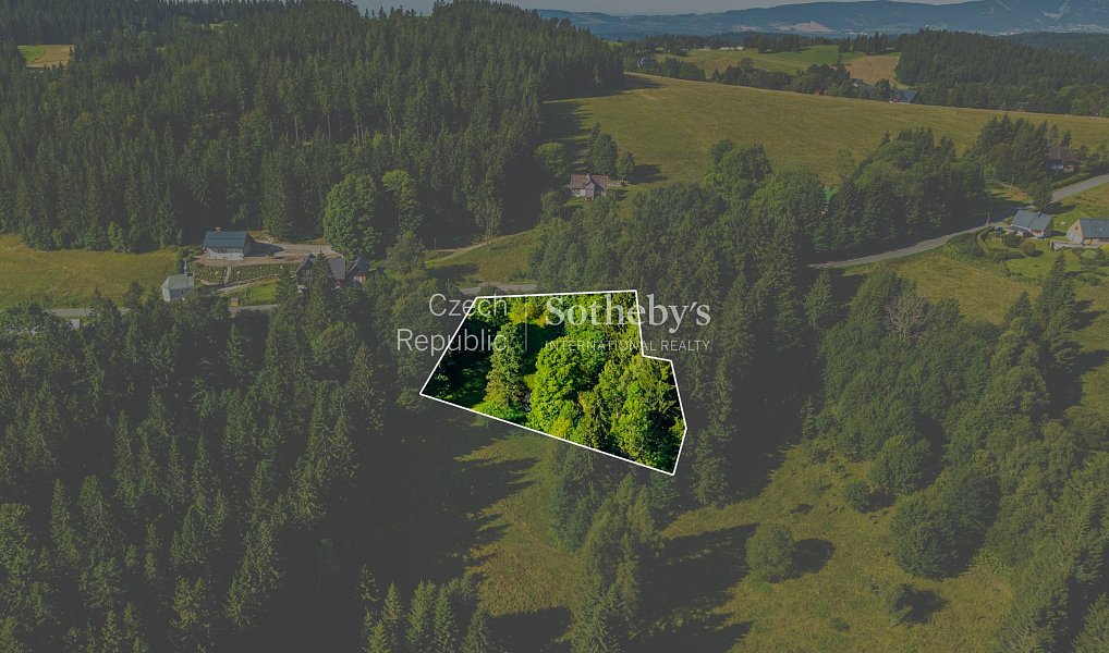 Prodej stavebního pozemku 2 976 m², Janov nad Nisou – náhled fotky 5