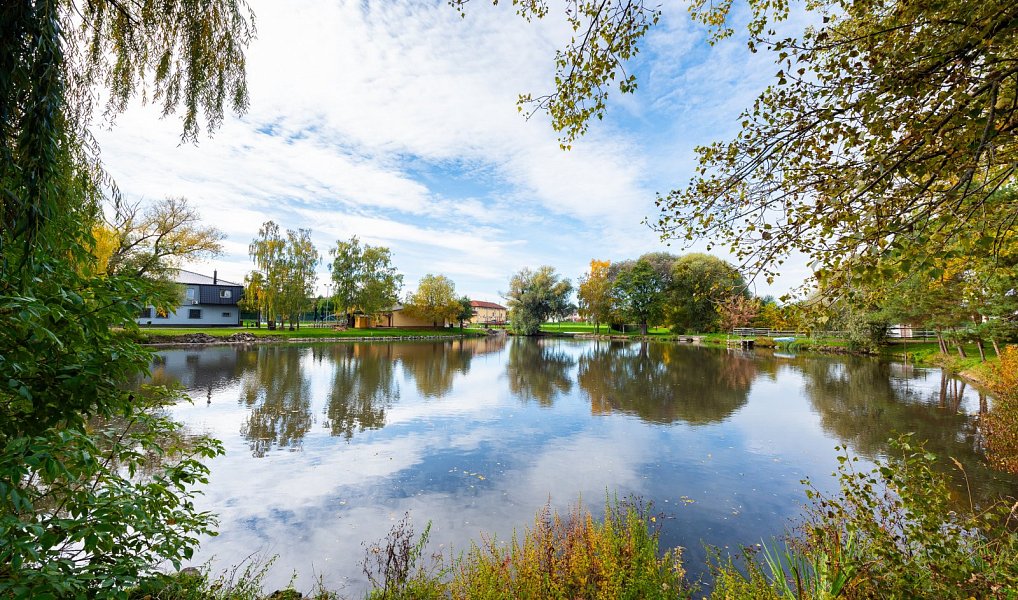 Prodej domu 200 m² s pozemkem 515 m², Nová Ves – náhled fotky 38