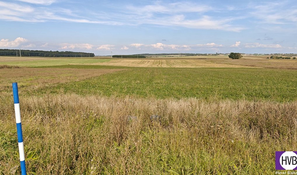 Prodej stavebního pozemku 3 767 m², Bělušice – náhled fotky 4