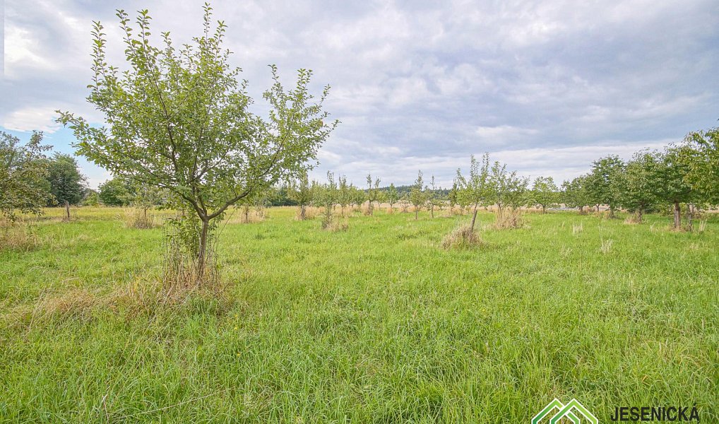 Prodej pole 16 809 m², Velké Kunětice – náhled fotky 3