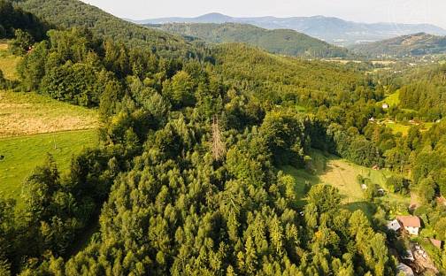 Prodej lesa 20 558 m², Nýdek, okres Frýdek-Místek