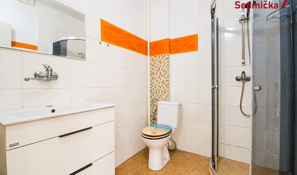 Prodej domu 300 m² s pozemkem 302 m², Únanov – náhled fotky 12