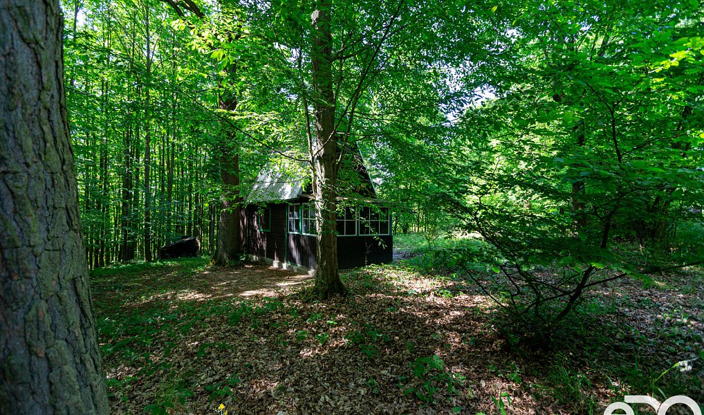 Prodej chaty/chalupy 41 m² s pozemkem 41 m², Kaliště – náhled fotky 9