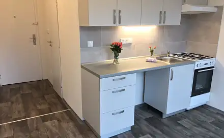 Pronájem bytu 1+1 38 m²