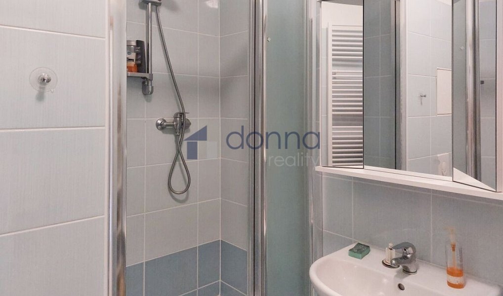 Pronájem bytu 1+kk 32 m², Praha – náhled fotky 3