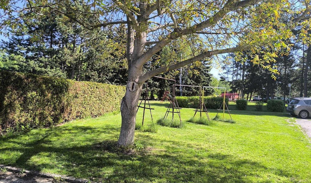 Pronájem bytu 3+1 63 m², Hradec Králové – náhled fotky 23