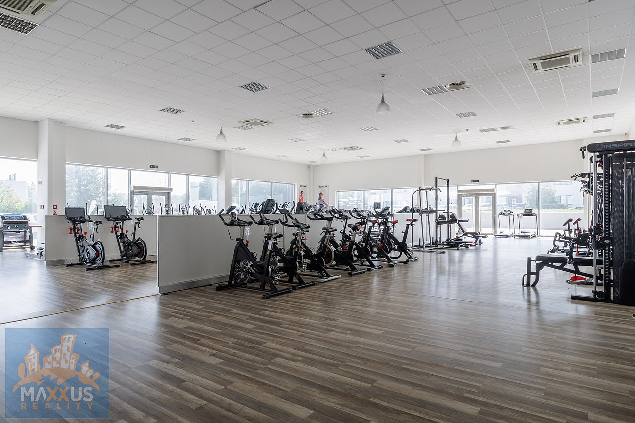 Pronájem obchodních prostor 490 m²