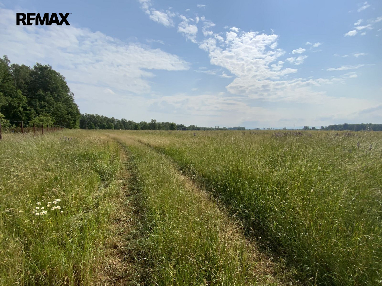 Prodej louky 107 498 m² – fotografie 3