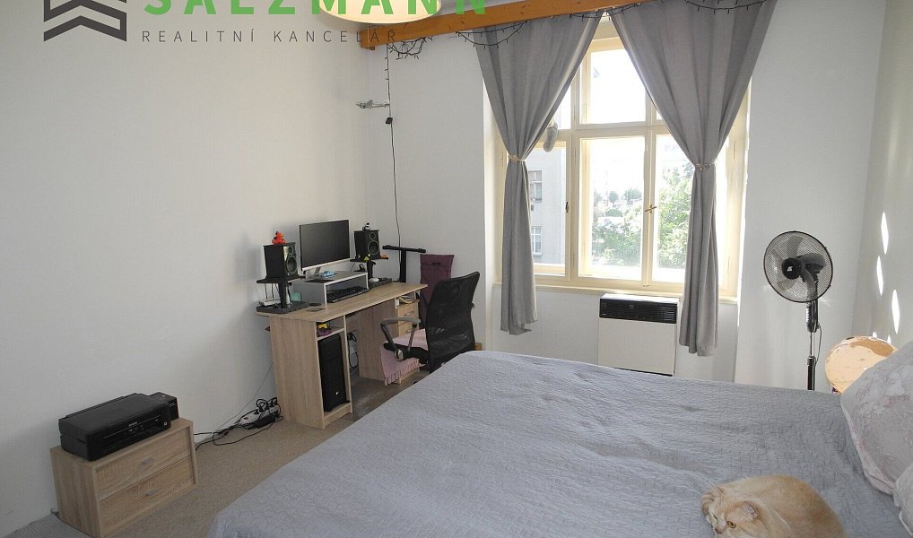 Prodej bytu 2+kk 42 m², Plzeň – náhled fotky 6