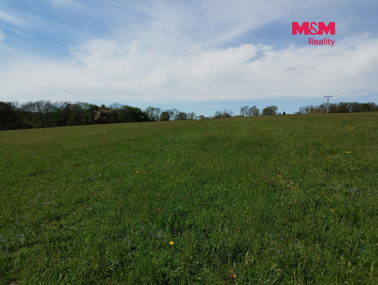 Prodej stavebního pozemku 4 600 m² – fotografie 4
