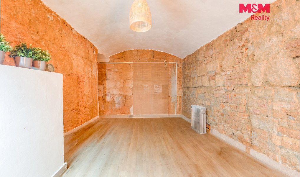 Pronájem obchodních prostor 109 m², Plzeň – náhled fotky 9
