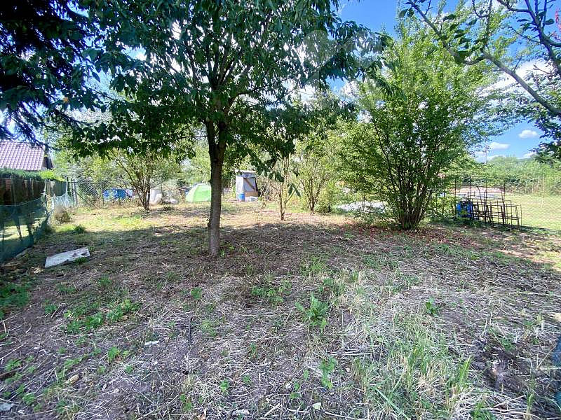 Prodej zahrady 254 m² – fotografie 3