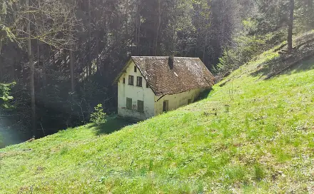 Prodej domu 110 m² s pozemkem 3 282 m², Koberovy - Chloudov, okres Jablonec nad Nisou