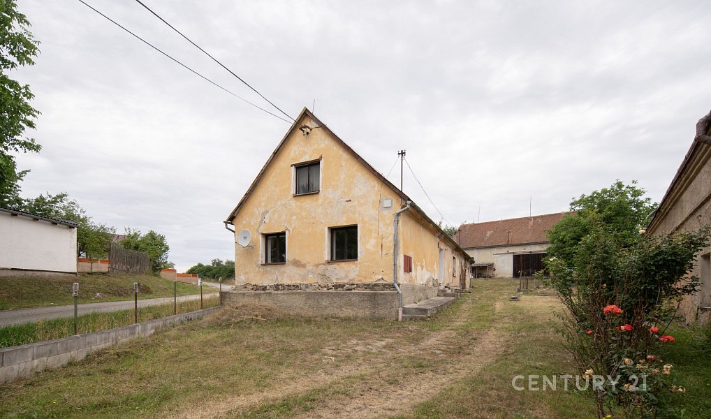 Prodej domu 98 m² s pozemkem 2 769 m², Bor – náhled fotky 4