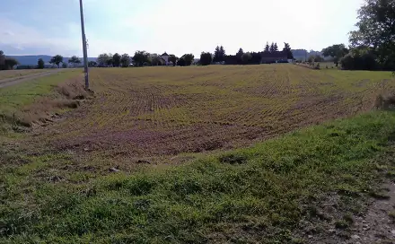 Dražba stavebního pozemku 9 030 m², Vrbice