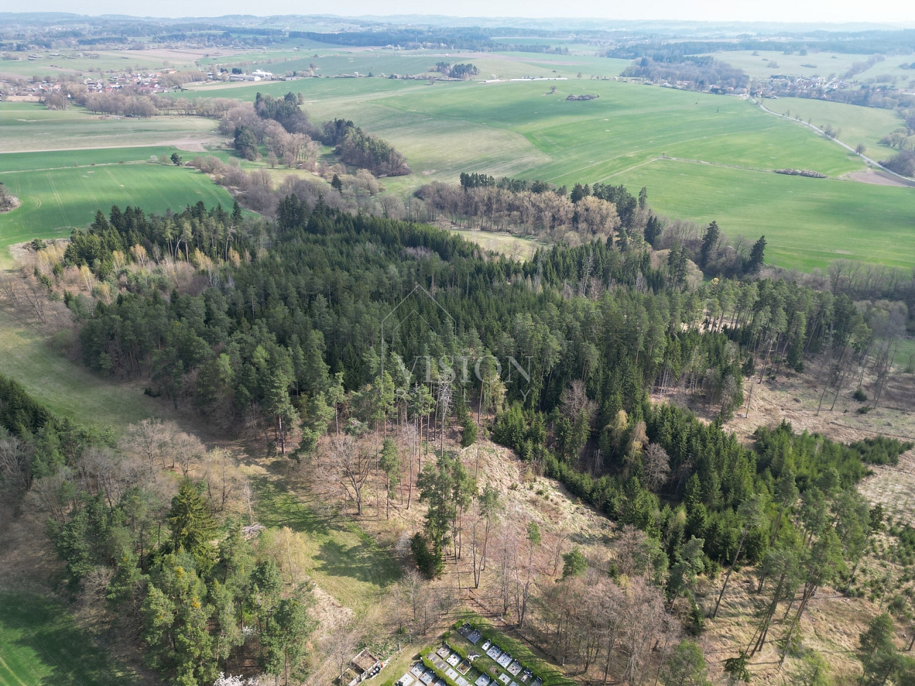 Prodej lesa 4 287 m² – fotografie 3