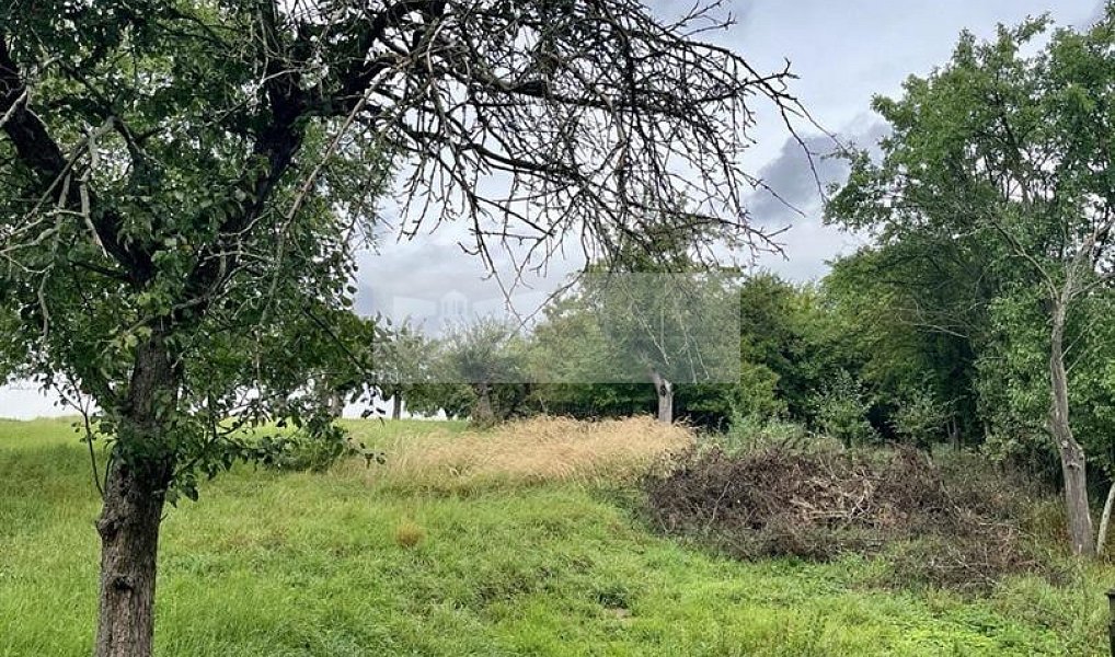 Prodej pozemku 11 900 m², Velké Všelisy – náhled fotky 17