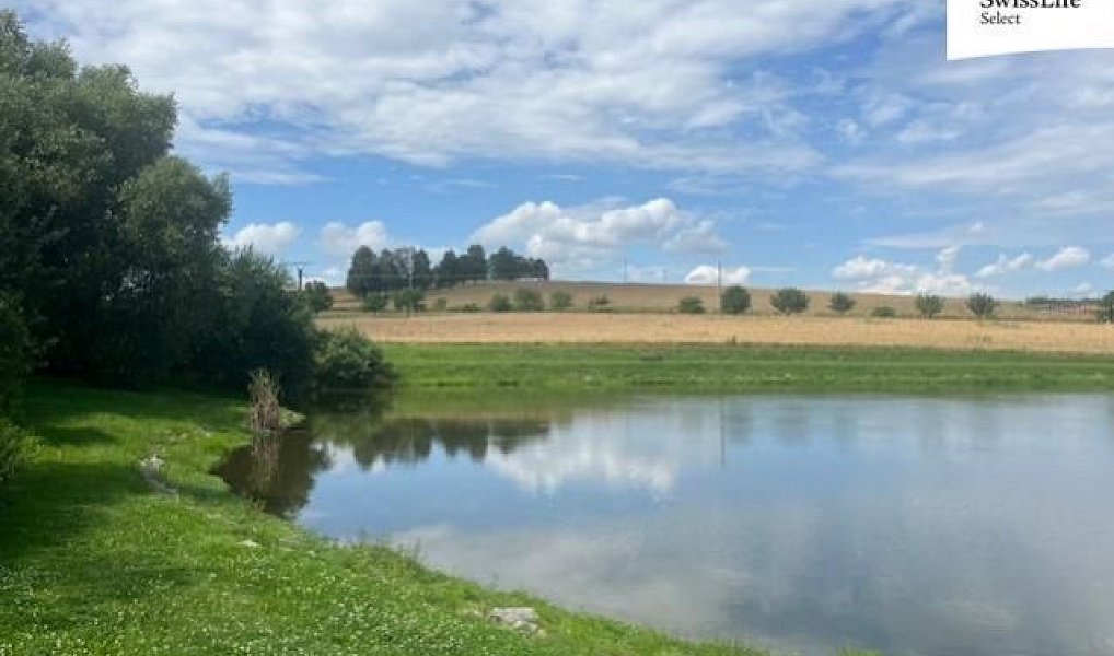 Prodej louky 360 m², Hodice – náhled fotky 5