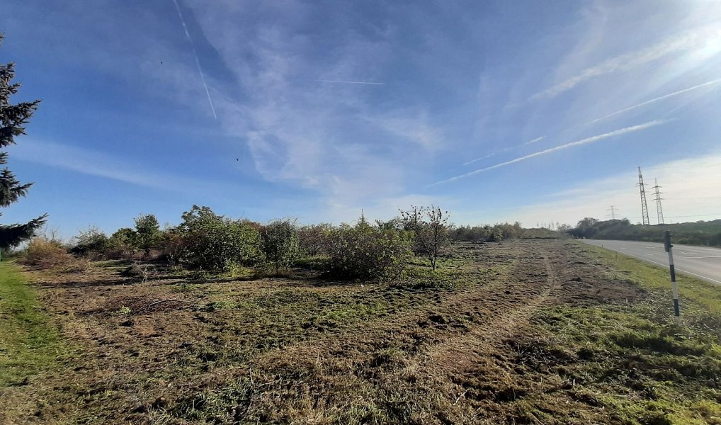 Prodej komerčního pozemku 5 166 m², Telnice – náhled fotky 9